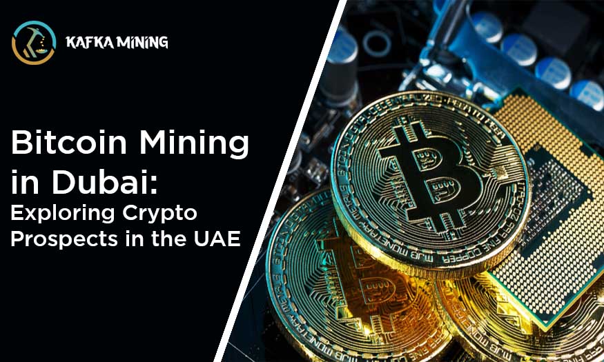 Bitcoin Mining in Dubai: Exploring Crypto Prospects in the UAE