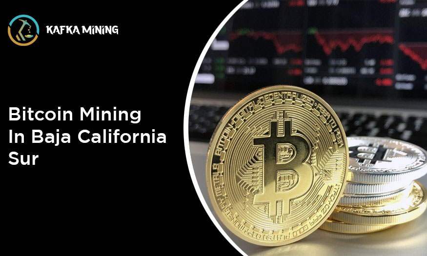 Bitcoin Mining in Baja California Sur: Exploring Crypto Ventures