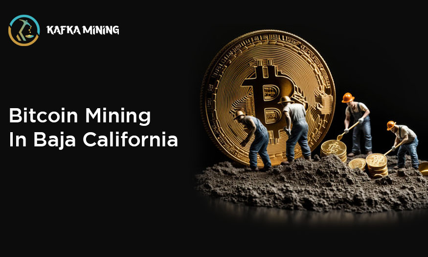 Bitcoin Mining in Baja California: Exploring Cryptocurrency by the Coast