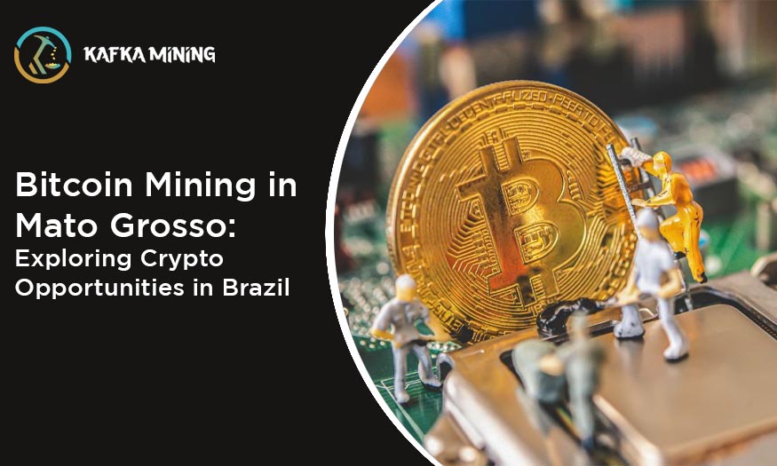 Bitcoin Mining in Mato Grosso: Exploring Crypto Opportunities in Brazil