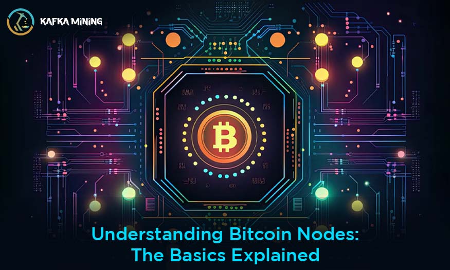 Understanding Bitcoin Nodes: The Basics Explained