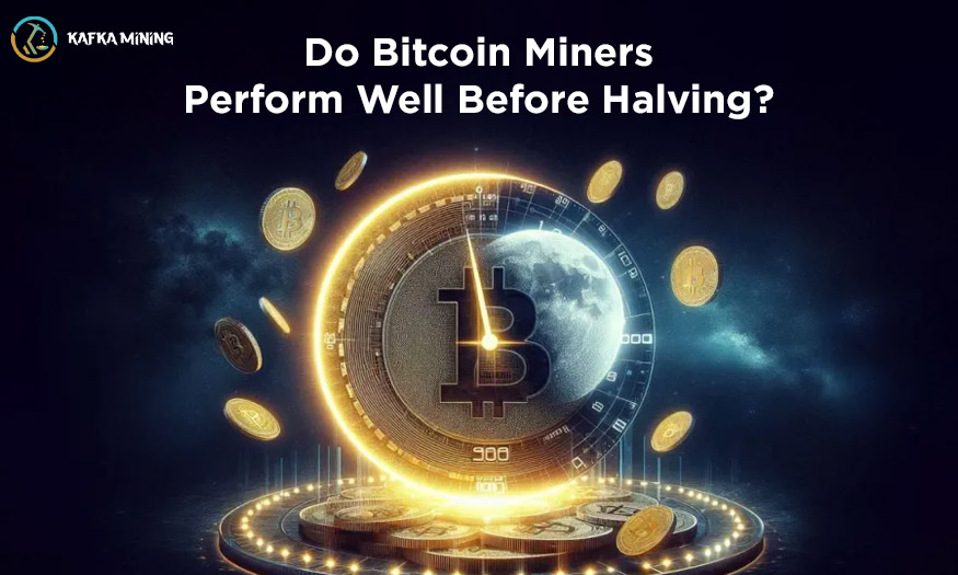 Do Bitcoin Miners Perform Well Before Halving?