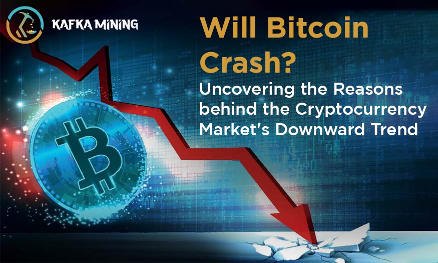 Will Bitcoin Crash? Uncovering the Reasons behind the Cryptocurrency Market Downward Trend