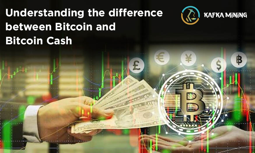 Understanding the difference between Bitcoin and Bitcoin Cash