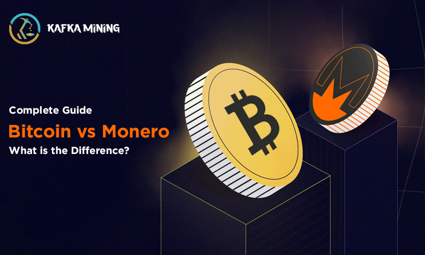 Complete Guide Bitcoin vs. Monero: What is the Difference?