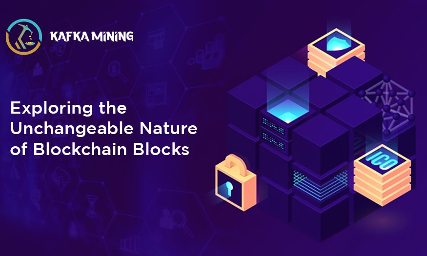 Exploring the Unchangeable Nature of Blockchain Blocks