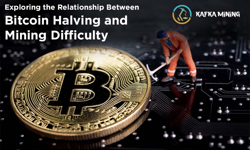 Exploring the Relationship Between Bitcoin Halving and Mining Difficulty