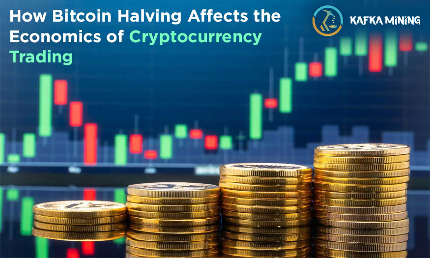 How Bitcoin Halving Affects the Economics of Cryptocurrency Trading