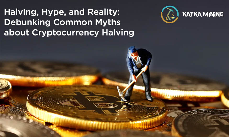 Halving, Hype, and Reality-Debunking Common Myths about Cryptocurrency Halving