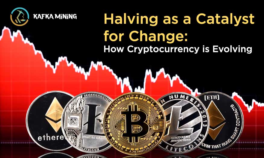 Halving as a Catalyst for Change-How Cryptocurrency is Evolving