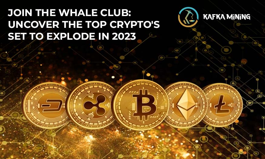 Join the Whale Club: Uncover the Top Crypto's Set to Explode in 2023