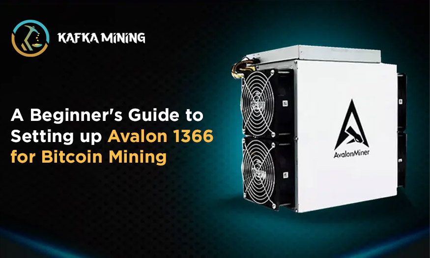 A Beginner's Guide to Setting up Avalon 1366 for Bitcoin Mining