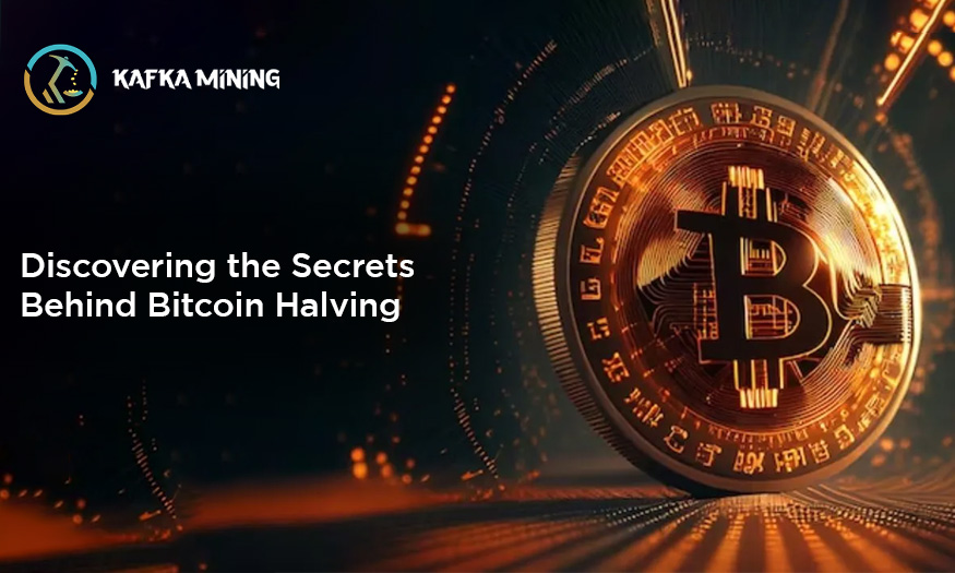 Discovering the Secrets Behind Bitcoin Halving