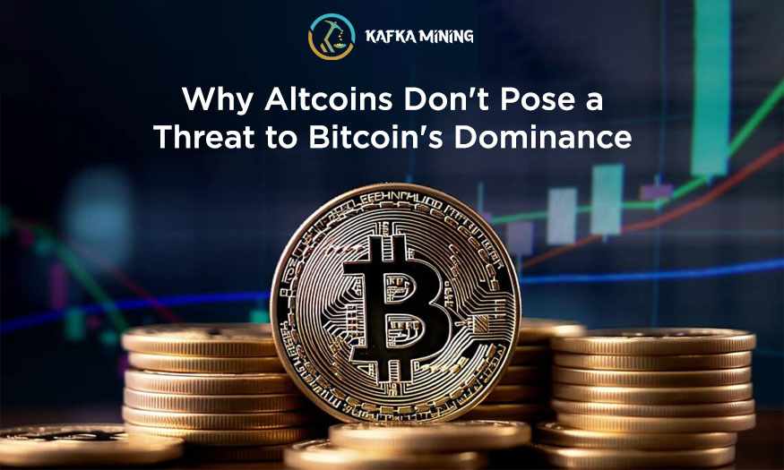 Why Altcoins Don't Pose a Threat to Bitcoin's Dominance