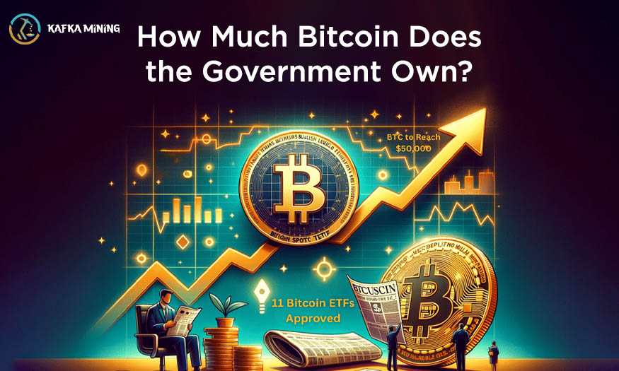 How Much Bitcoin Does the Government Own?