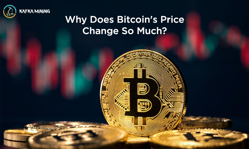 Why Does Bitcoin's Price Change So Much?